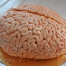 Торт мозг на заказ в Красноярске