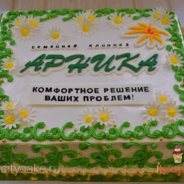 Корпоративный торт Арника на заказ в Красноярске