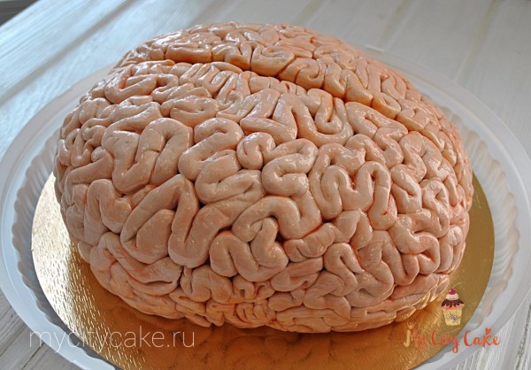Торт мозг торты на заказ Mycitycake